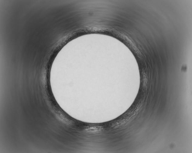 X0000116320447201001131007