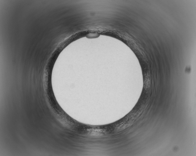 X0000116320448201001131007