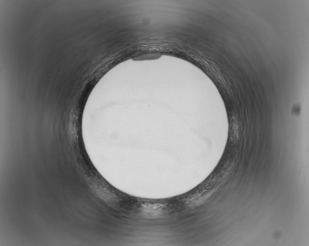 X0000116320450201001131007