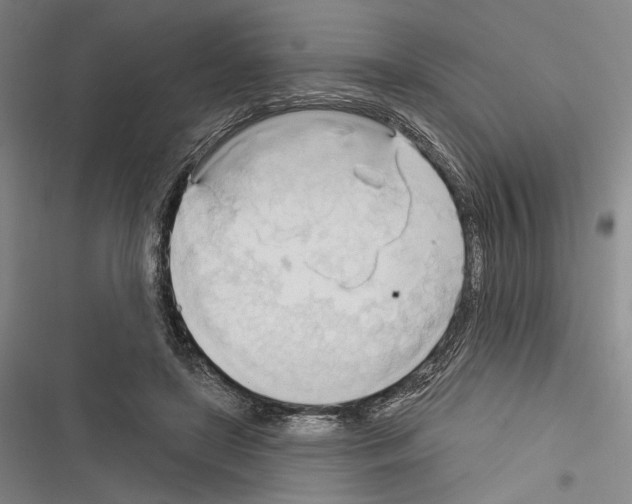 X0000116320451201001131007