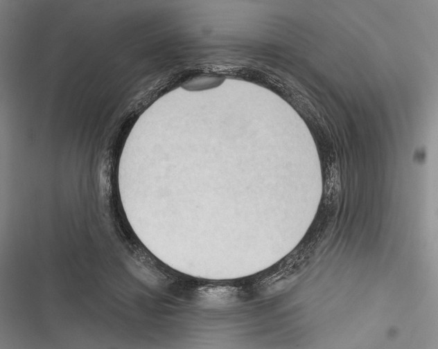 X0000116320452201001131007