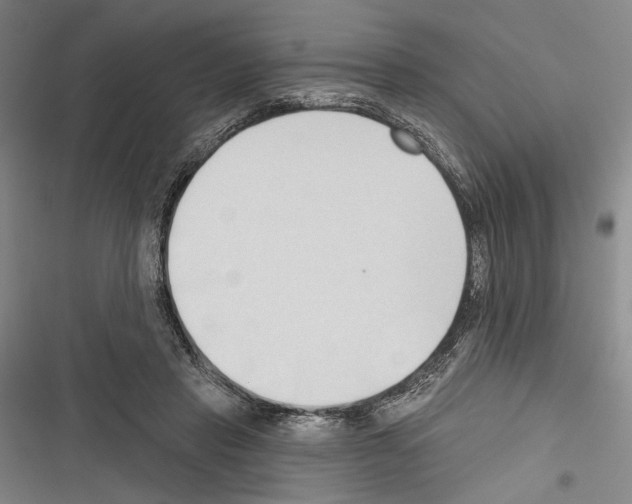 X0000116320453201001131007