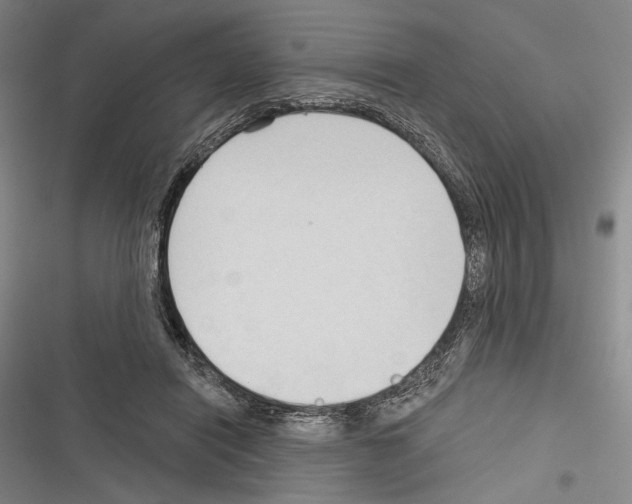 X0000116320454201001131007