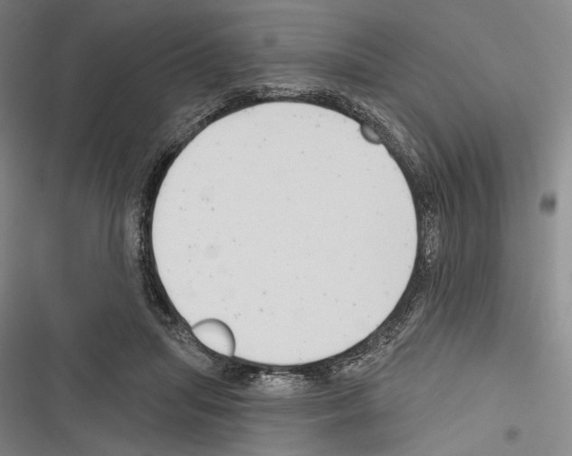 X0000116320455201001131007