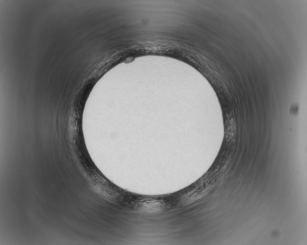 X0000116320456201001131007