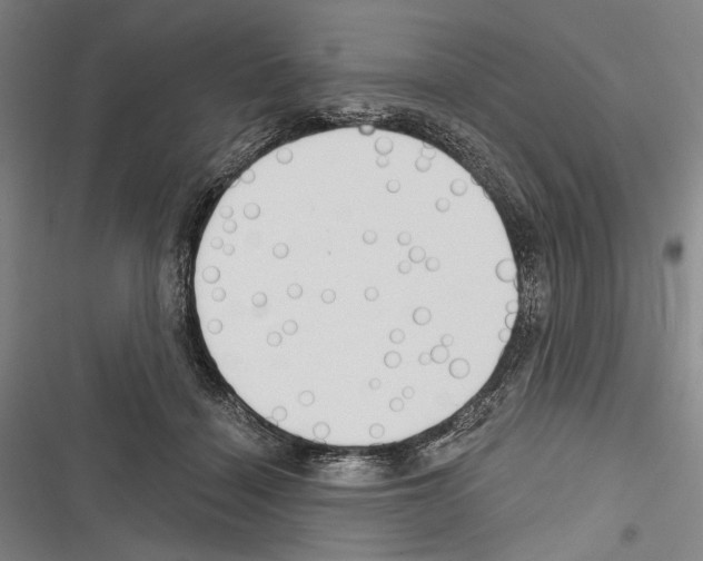 X0000116320460201001131007