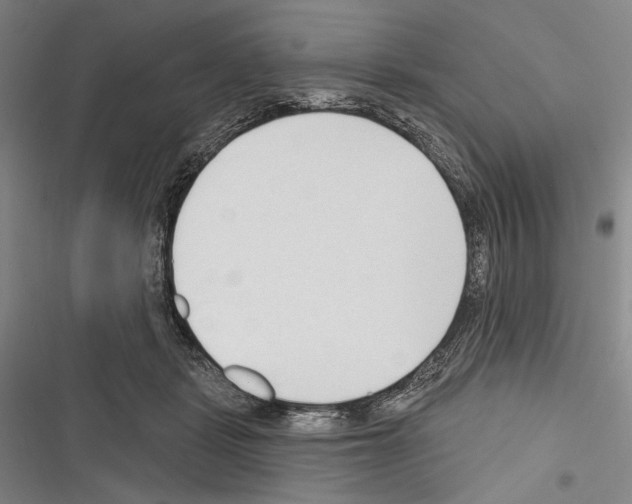 X0000116320461201001131007