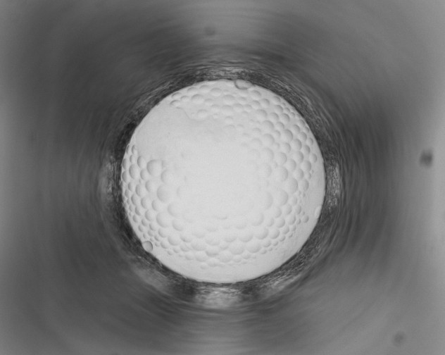 X0000116320463201001131007