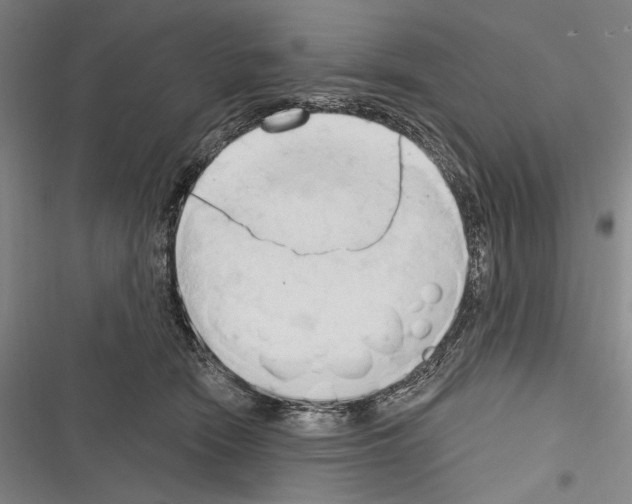 X0000116320466201001131007