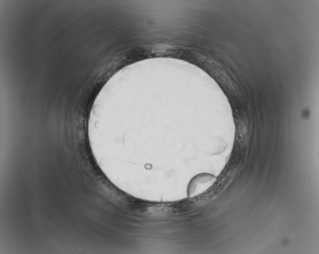 X0000116320470201001131007