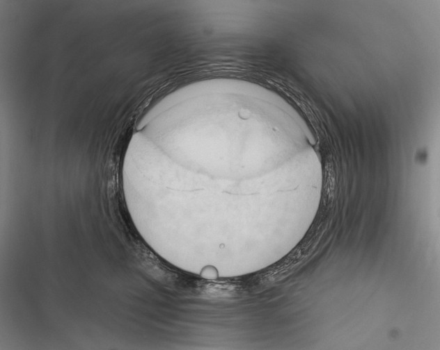 X0000116320471201001131007