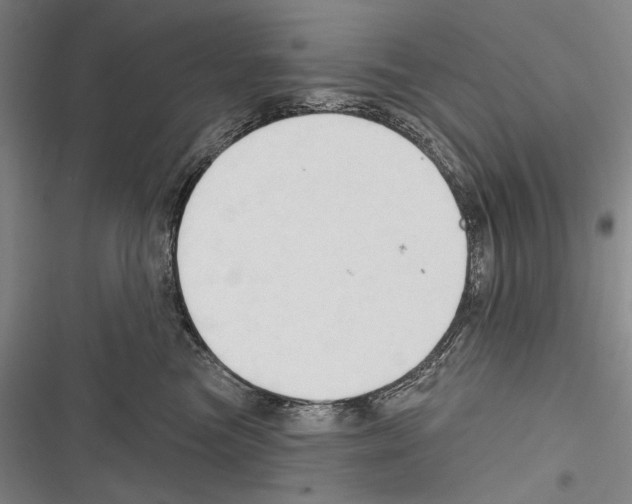 X0000116320473201001131007