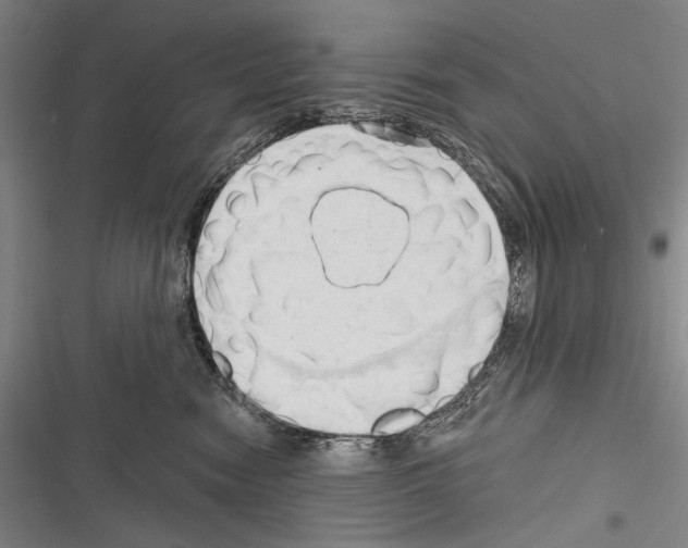 X0000116320474201001131007