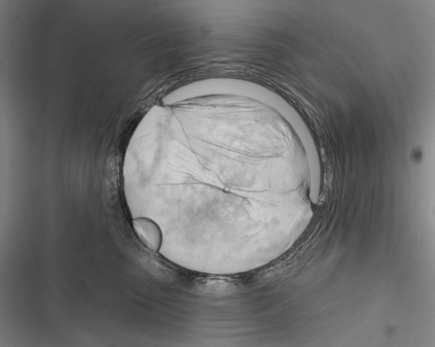 X0000116320475201001131007