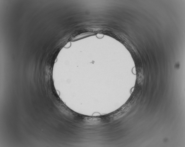 X0000116320476201001131007