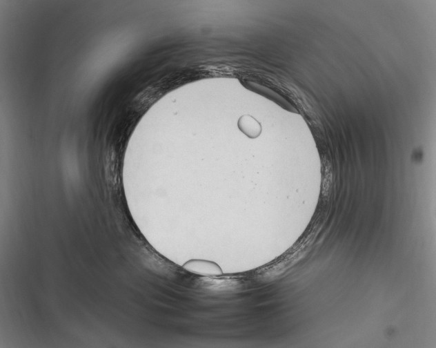 X0000116320477201001131007