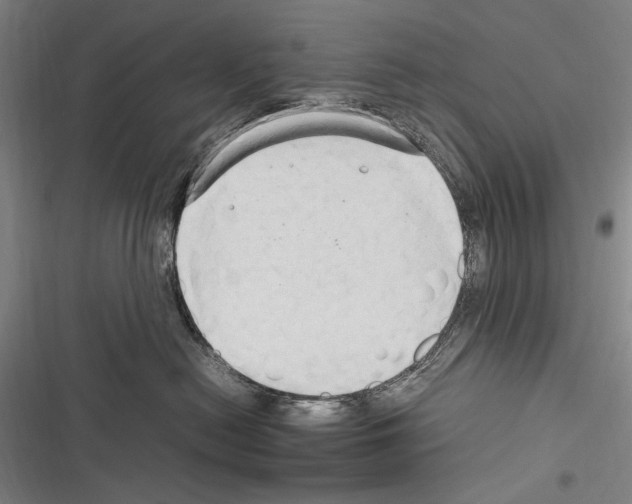 X0000116320478201001131007