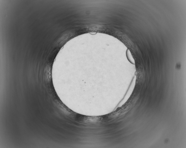 X0000116320479201001131007