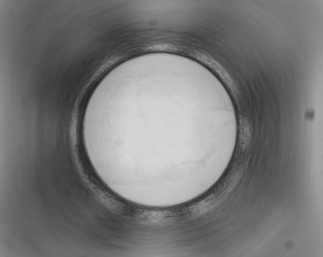 X0000116320482201001131006