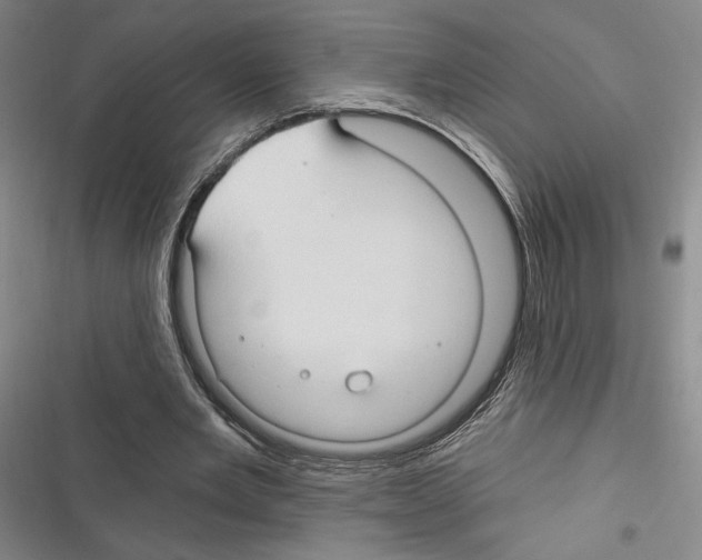 X0000116320485201001131006