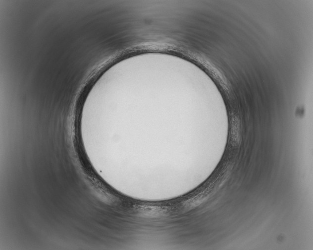 X0000116320486201001131006