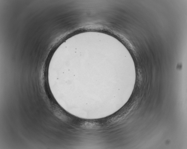 X0000116320487201001131006