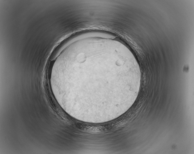 X0000116320488201001131006