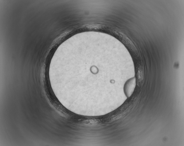 X0000116320492201001131006