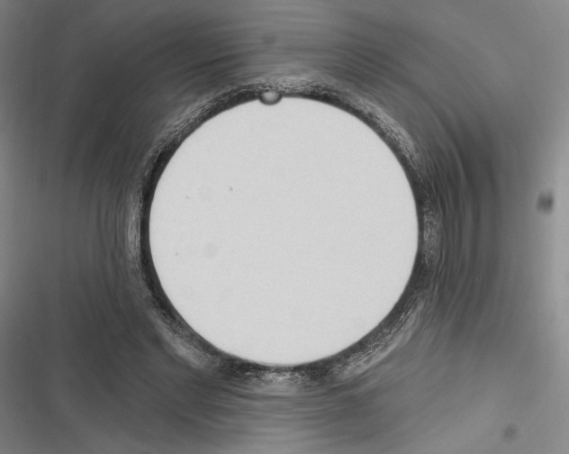 X0000116320493201001131006