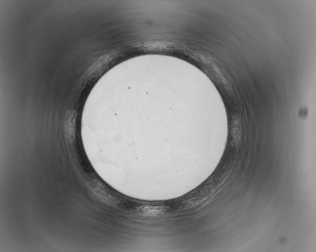 X0000116320495201001131006