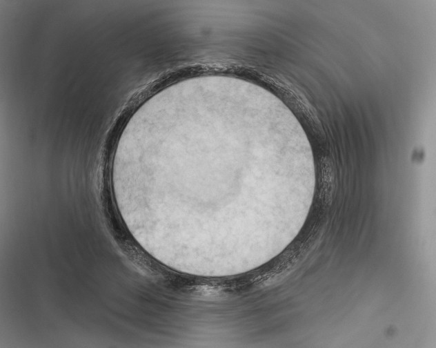 X0000116320496201001131006