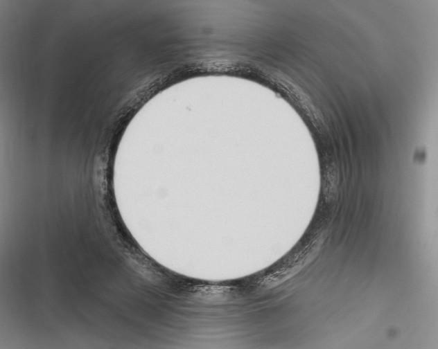 X0000116320497201001131006