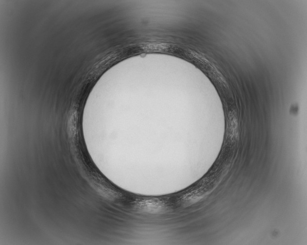 X0000116320498201001131006