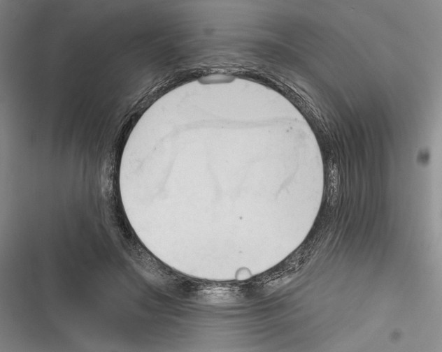 X0000116320499201001131006