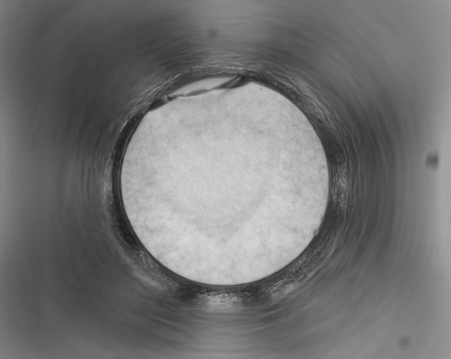 X0000116320500201001131006