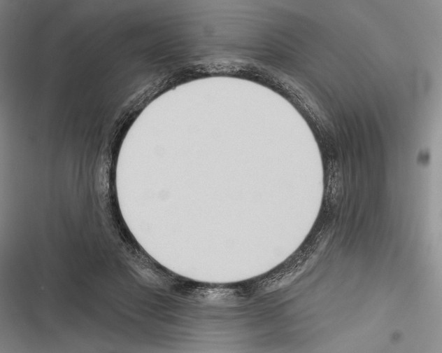 X0000116320501201001131006