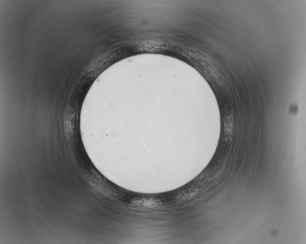 X0000116320503201001131006