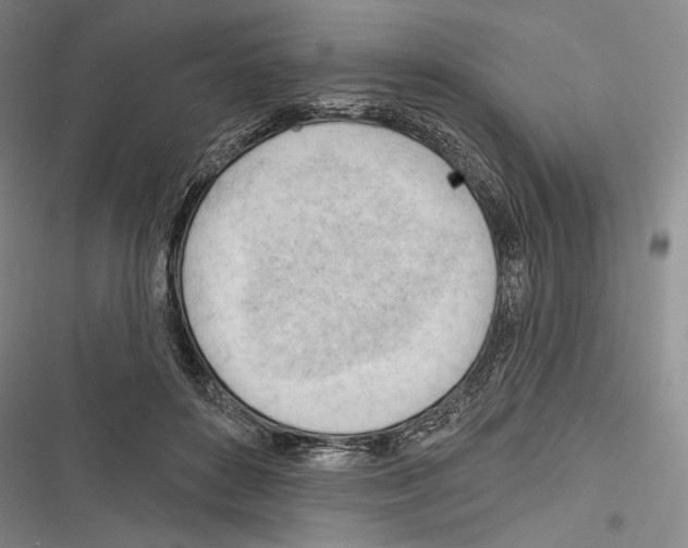 X0000116320504201001131006