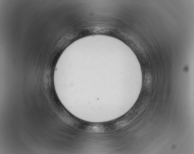 X0000116320506201001131006