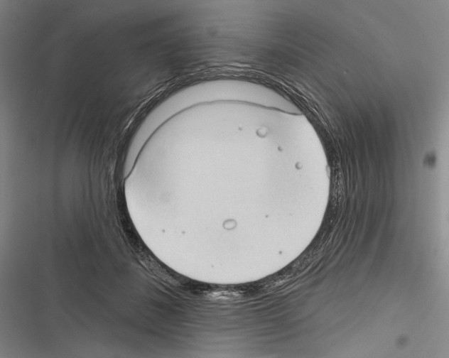 X0000116320508201001131006