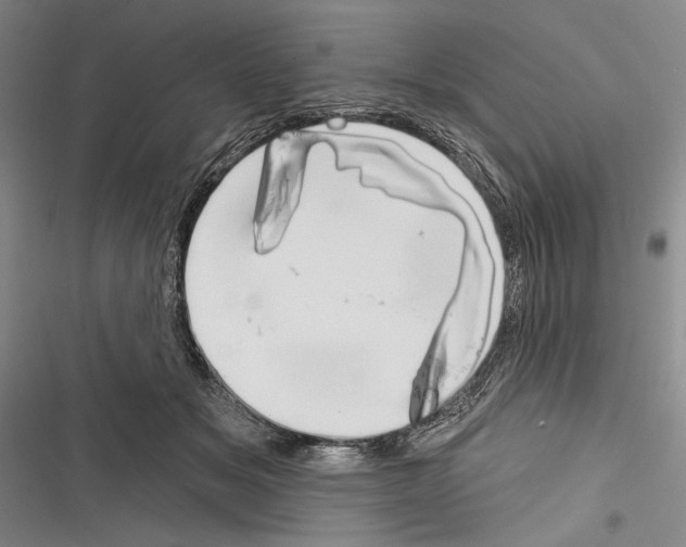 X0000116320509201001131006