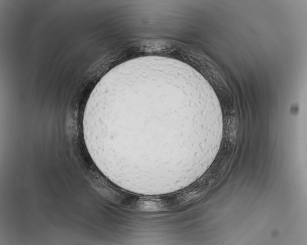 X0000116320510201001131006