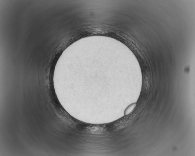 X0000116320512201001131006