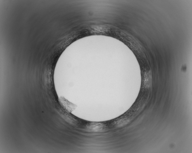 X0000116320514201001131006