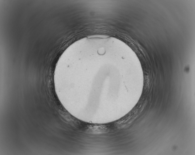 X0000116320517201001131006