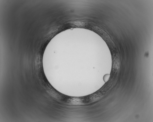 X0000116320518201001131006