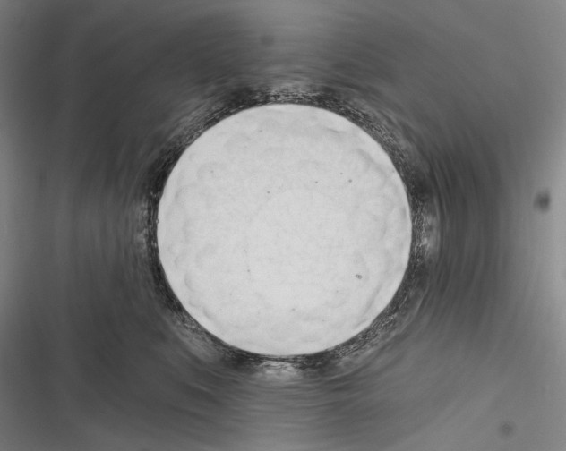 X0000116320519201001131006