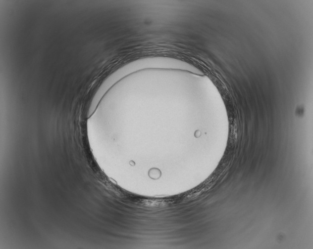 X0000116320520201001131006