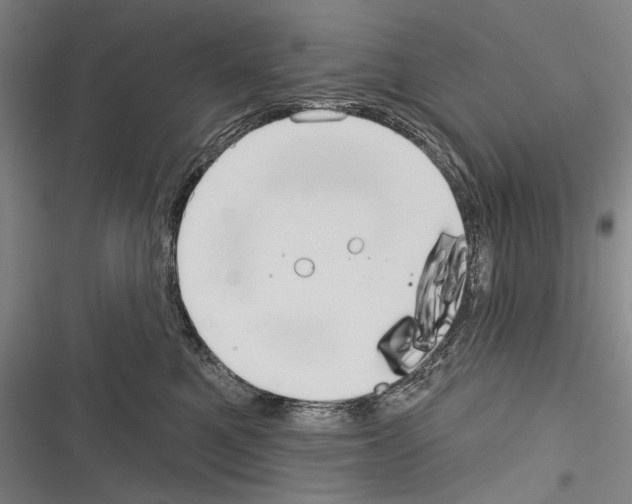 X0000116320521201001131006