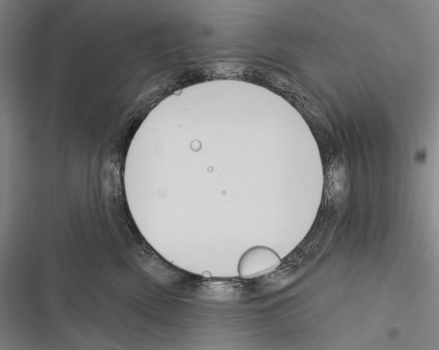 X0000116320522201001131006